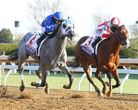 blue grass stakes results 2024